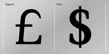 Value Serif Font Poster 4